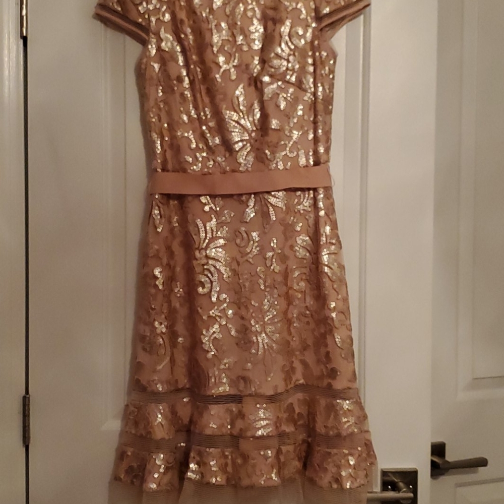 Tadashi evening dress